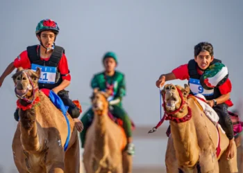 UAE Strikes Gold as Camel Racing Makes Historic Asian Youth Games Debut